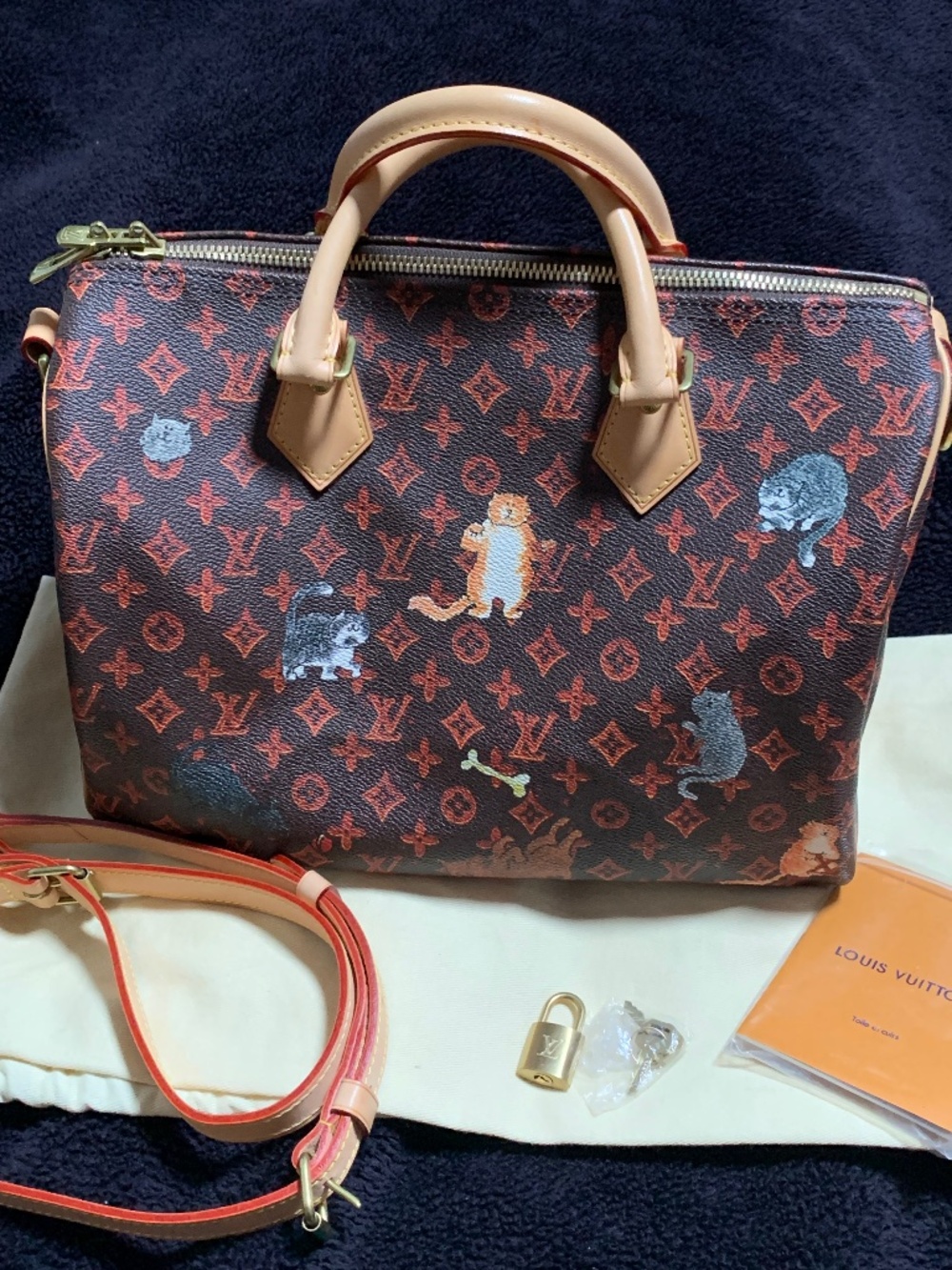 Louis Vuitton Catogram Speedy Bandouliere 30 Handbag